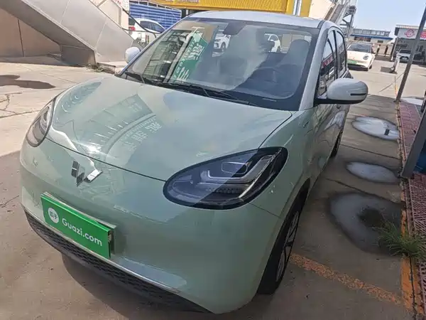 Wuling Bingo 2024