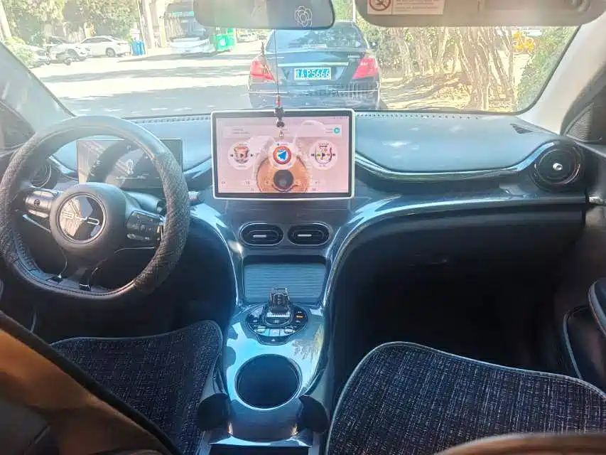 BYD e2 2024
