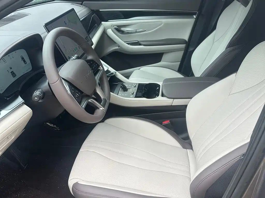BYD PLUS New Energy 2024 — фото 13