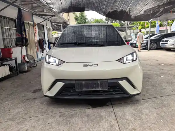 BYD Seagull 2024