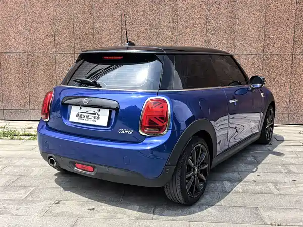 MINI MINI 2020