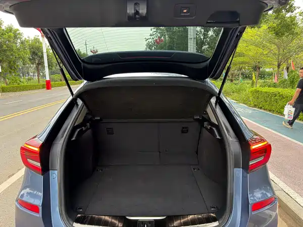 Honda Avancier 2020