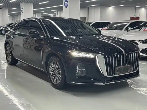 Hongqi H5 2024