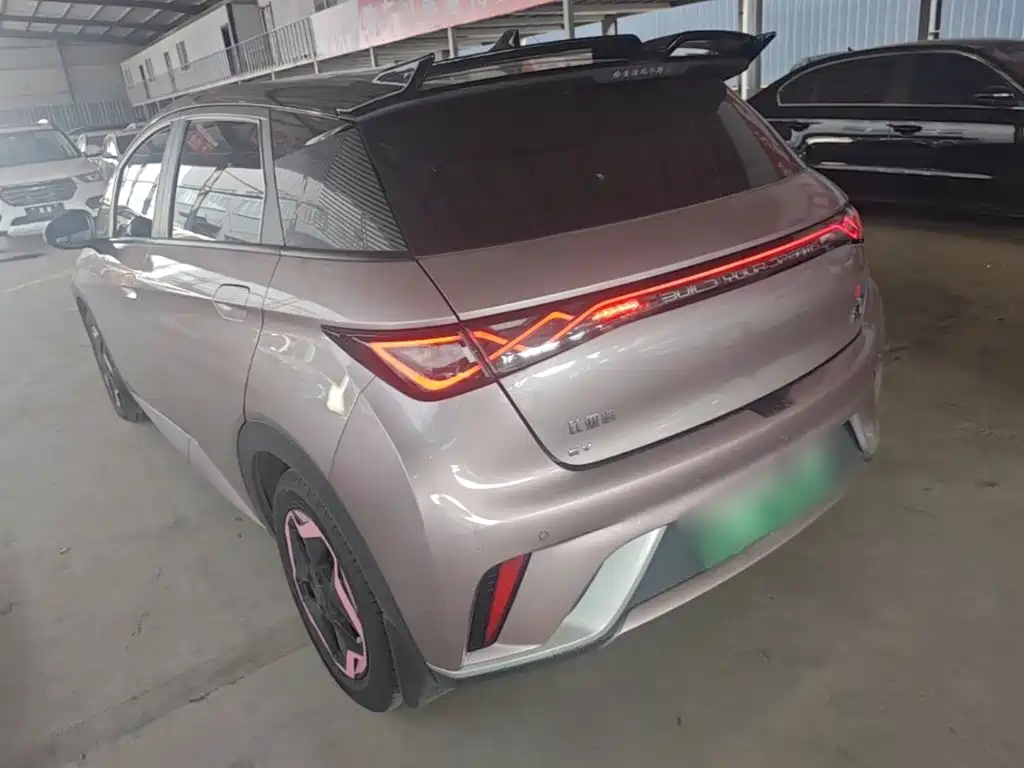 BYD Dolphin 2022