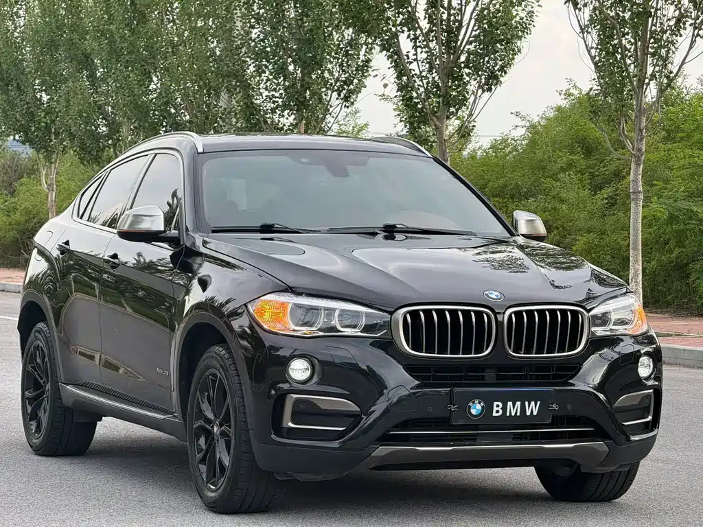 BMW X6 2017 — фото 6