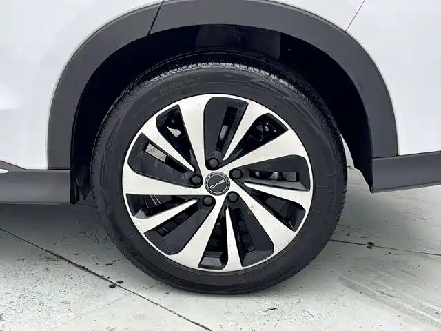 BYD PLUS New Energy 2023 — фото 15