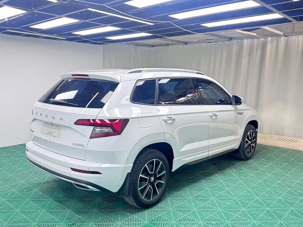 Skoda Karoq 2023 — фото 6