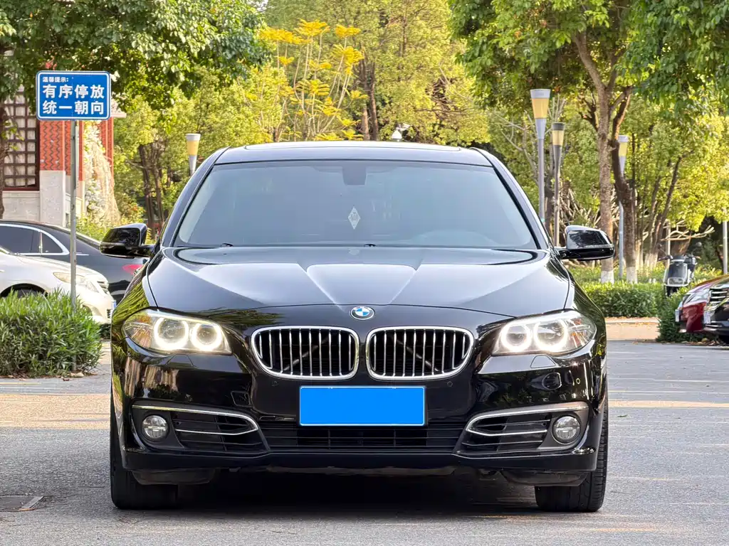 BMW 5 Series 2016 — фото 2