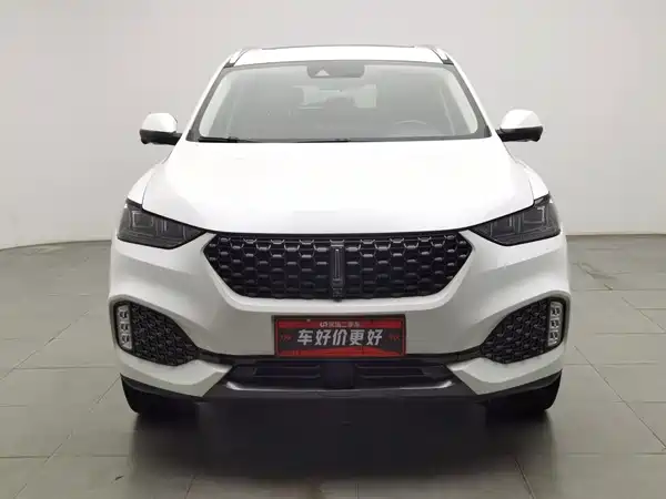 Wey VV6 2020