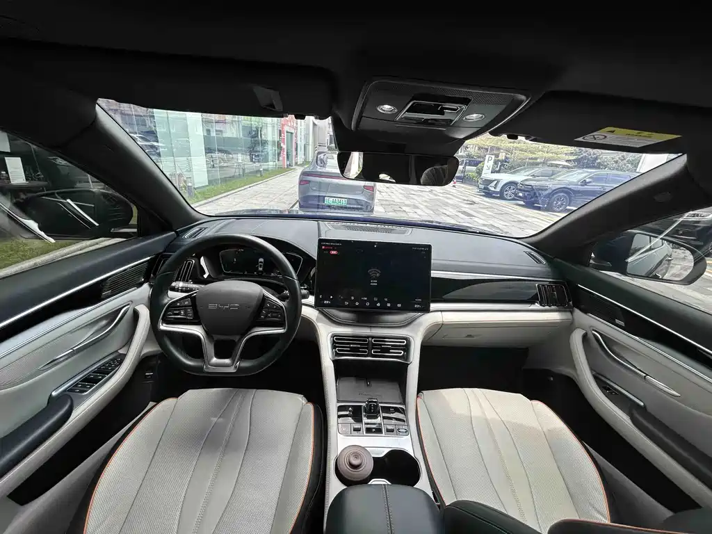 BYD Song PLUS New Energy 2023 — фото 9