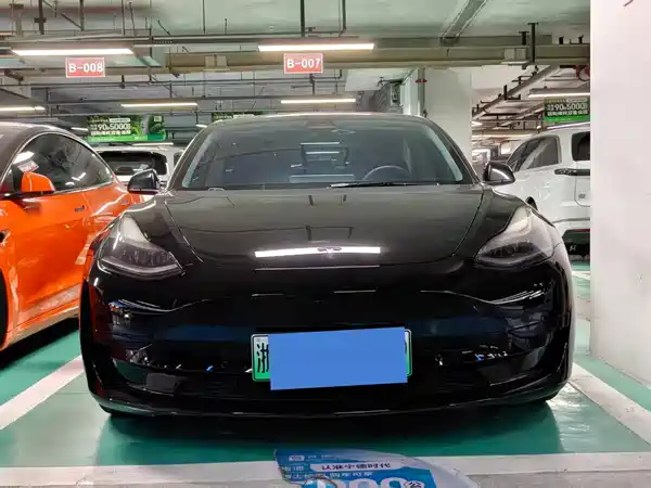 Tesla Model 3 2021