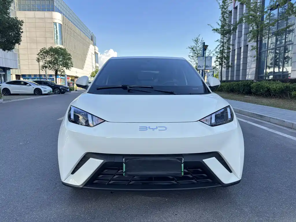 BYD Seagull 2025