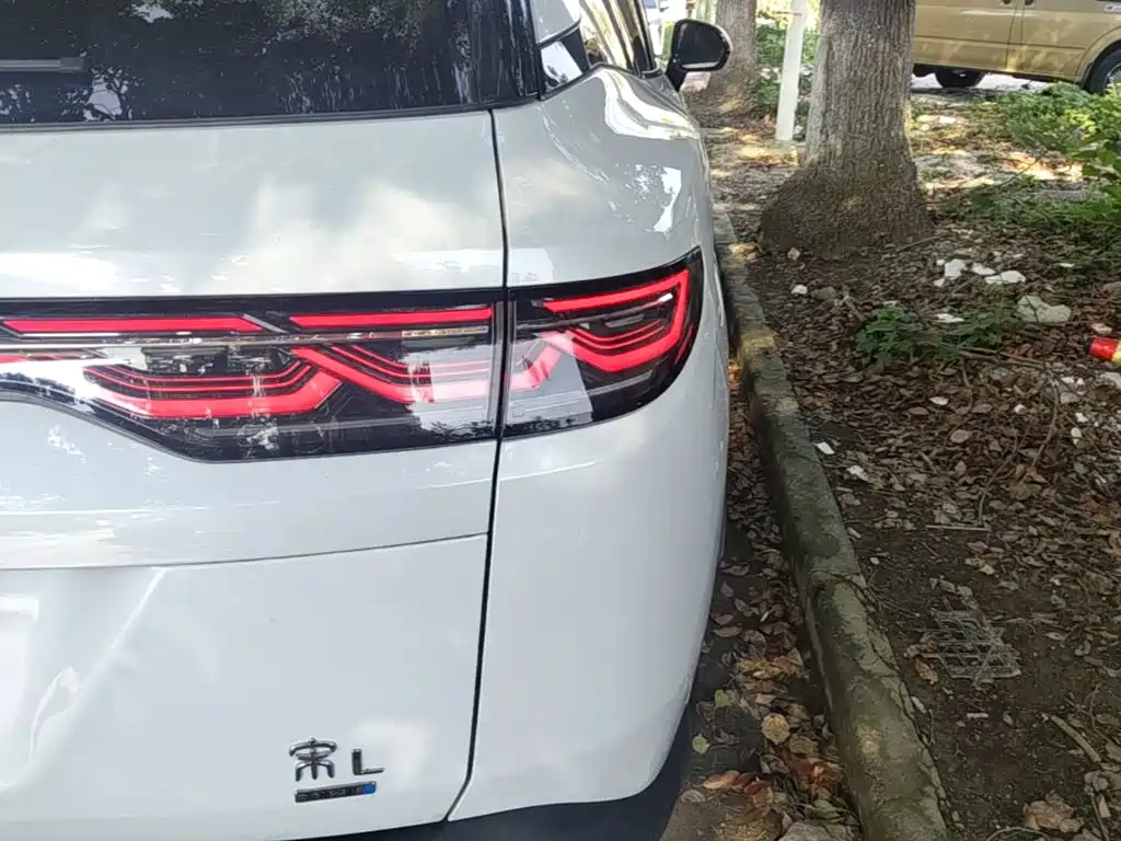 BYD Song L DM-i 2026 — фото 24