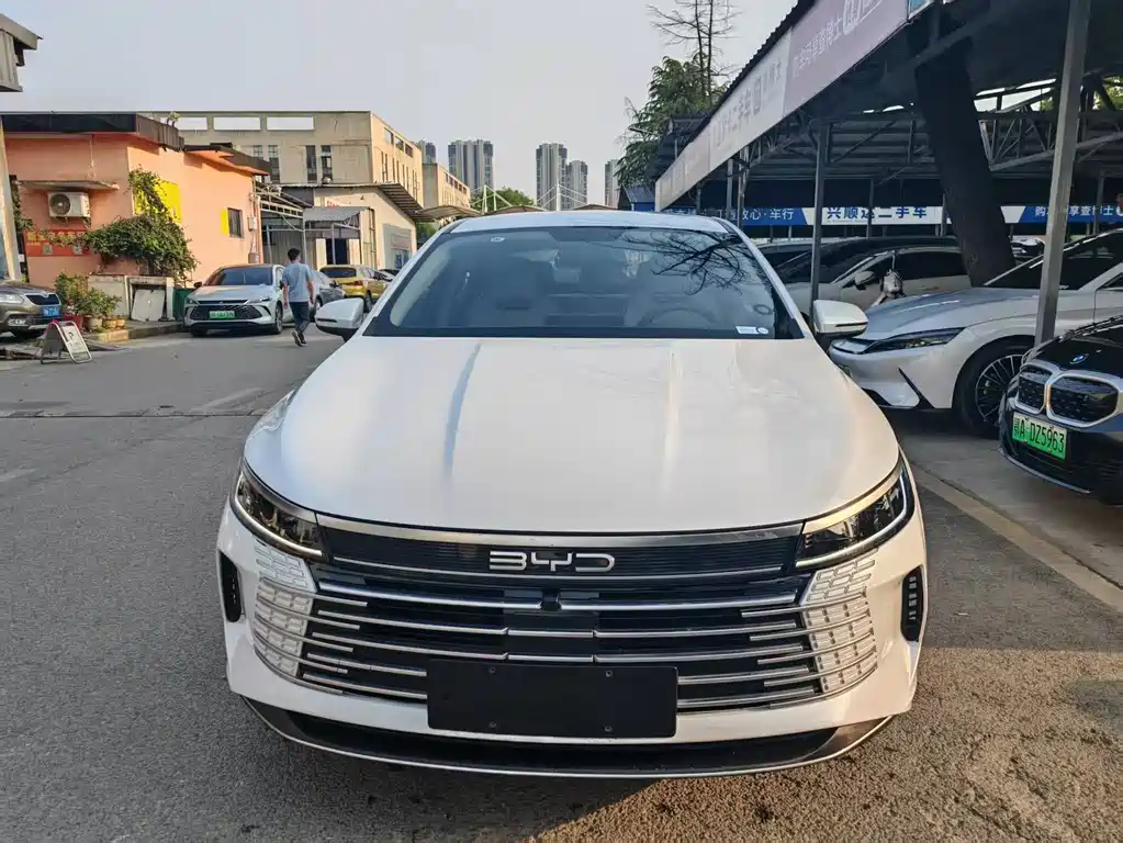 BYD Destroyer 05 2023 — фото 2