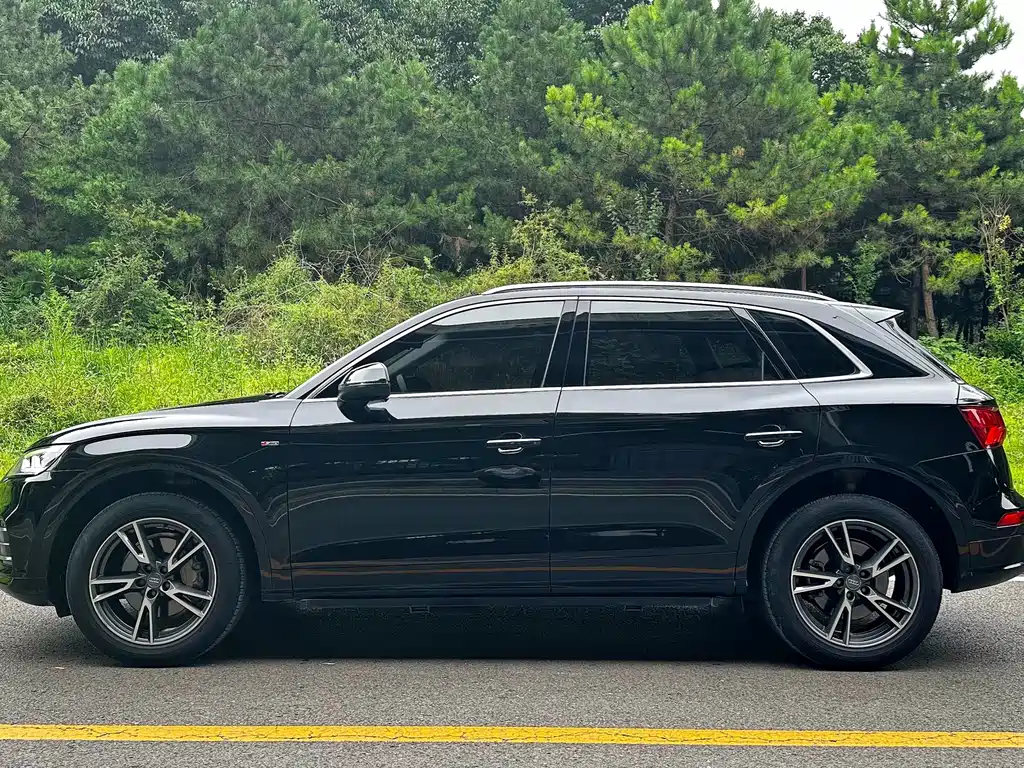 Audi Q5L 2019