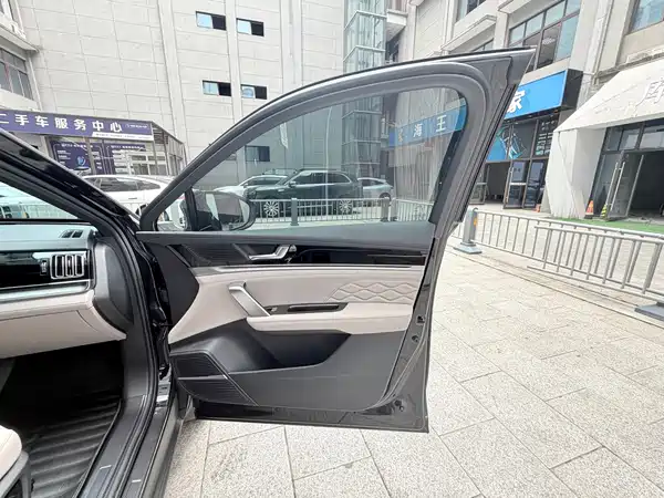 BYD Tang New Energy 2024