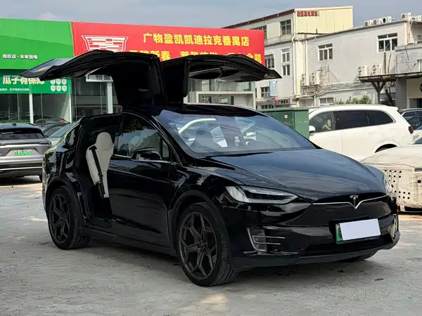Tesla Model X 2019