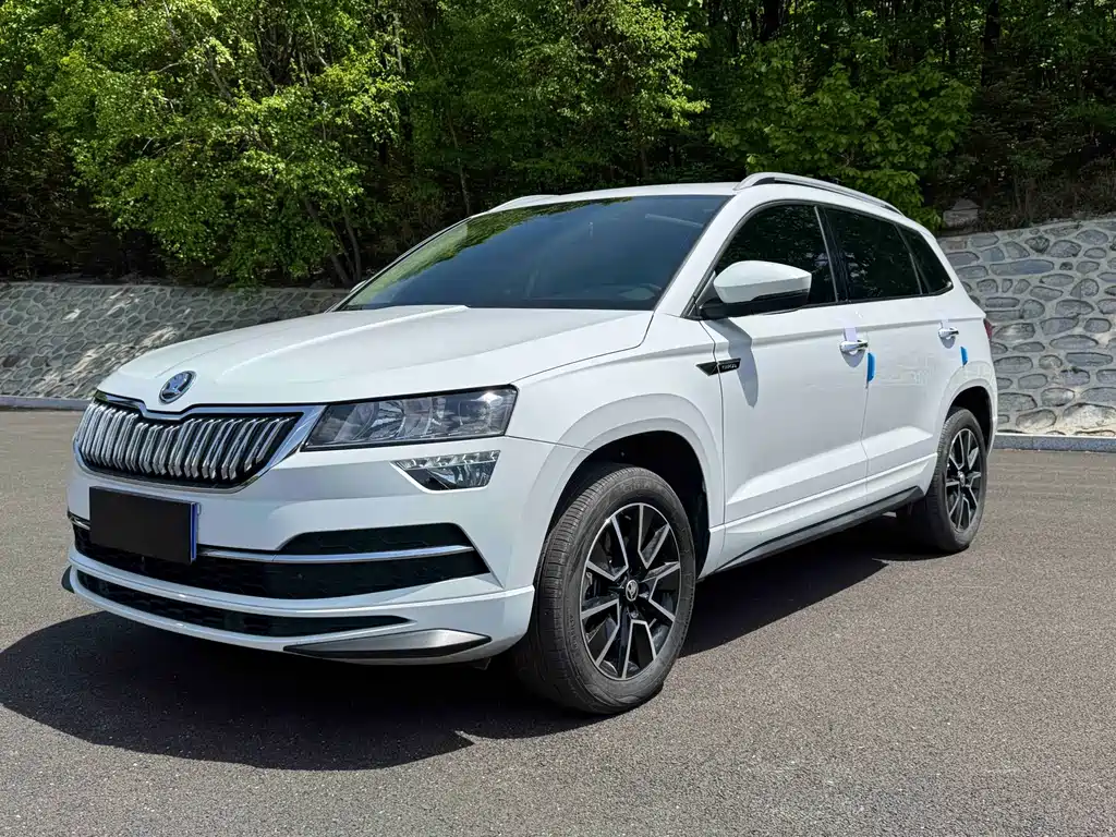 Skoda Karoq 2023 — фото 1