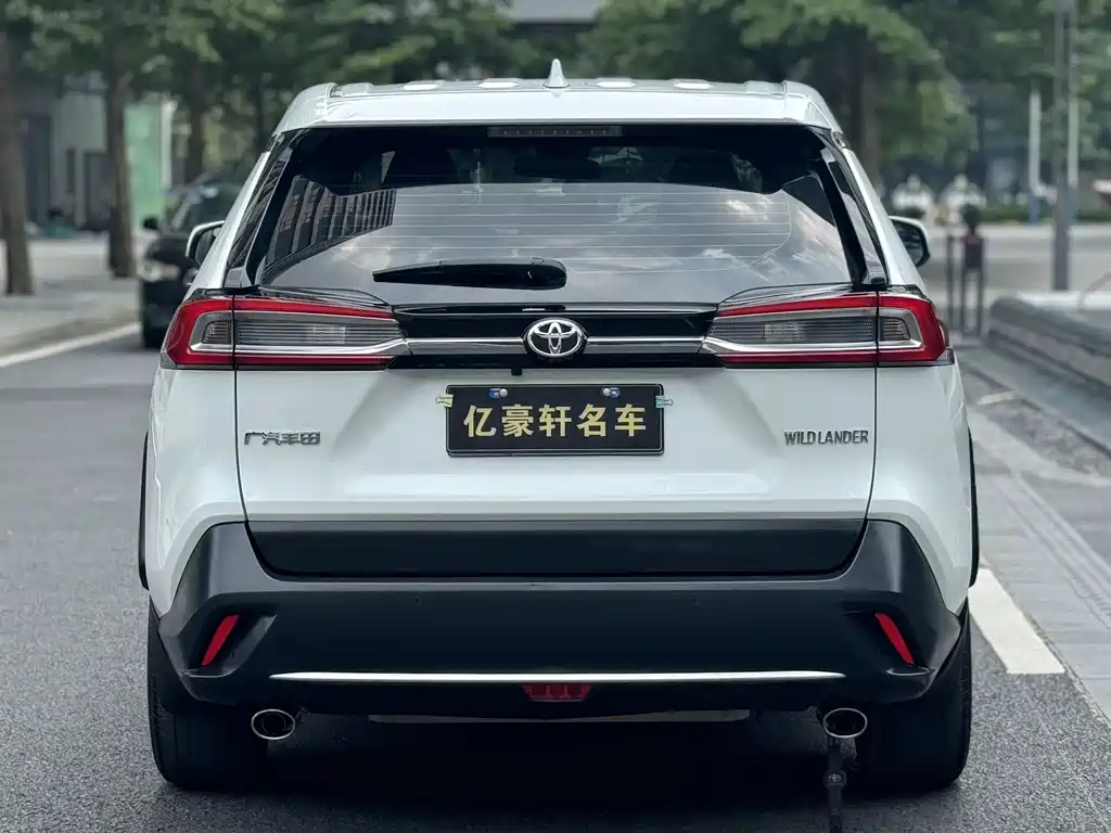Toyota Wildlander 2021 — фото 6