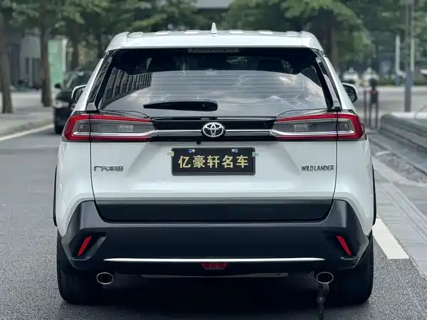Toyota Wildlander 2021