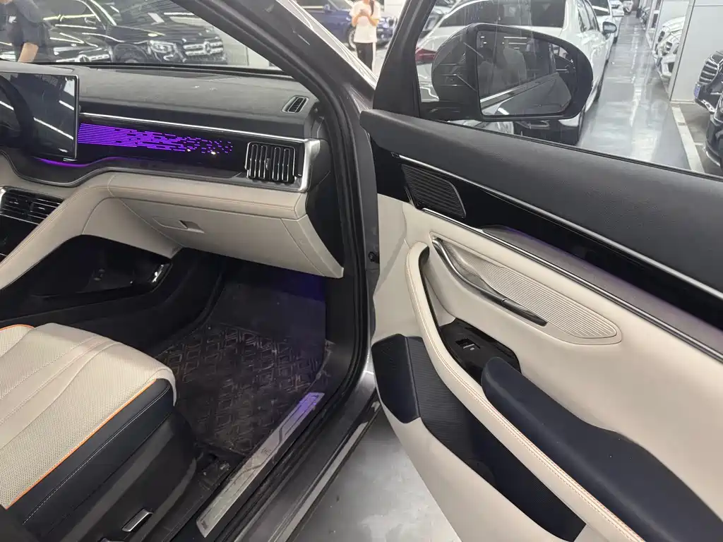BYD Song PLUS New Energy 2022 — фото 12