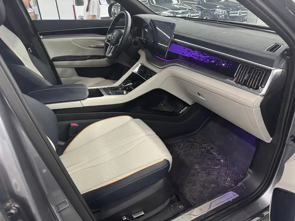 BYD Song PLUS New Energy 2022 — фото 13