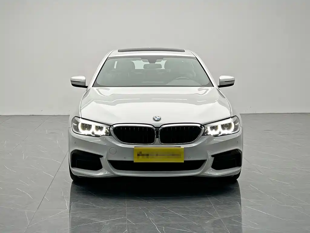 BMW 5 Series 2019