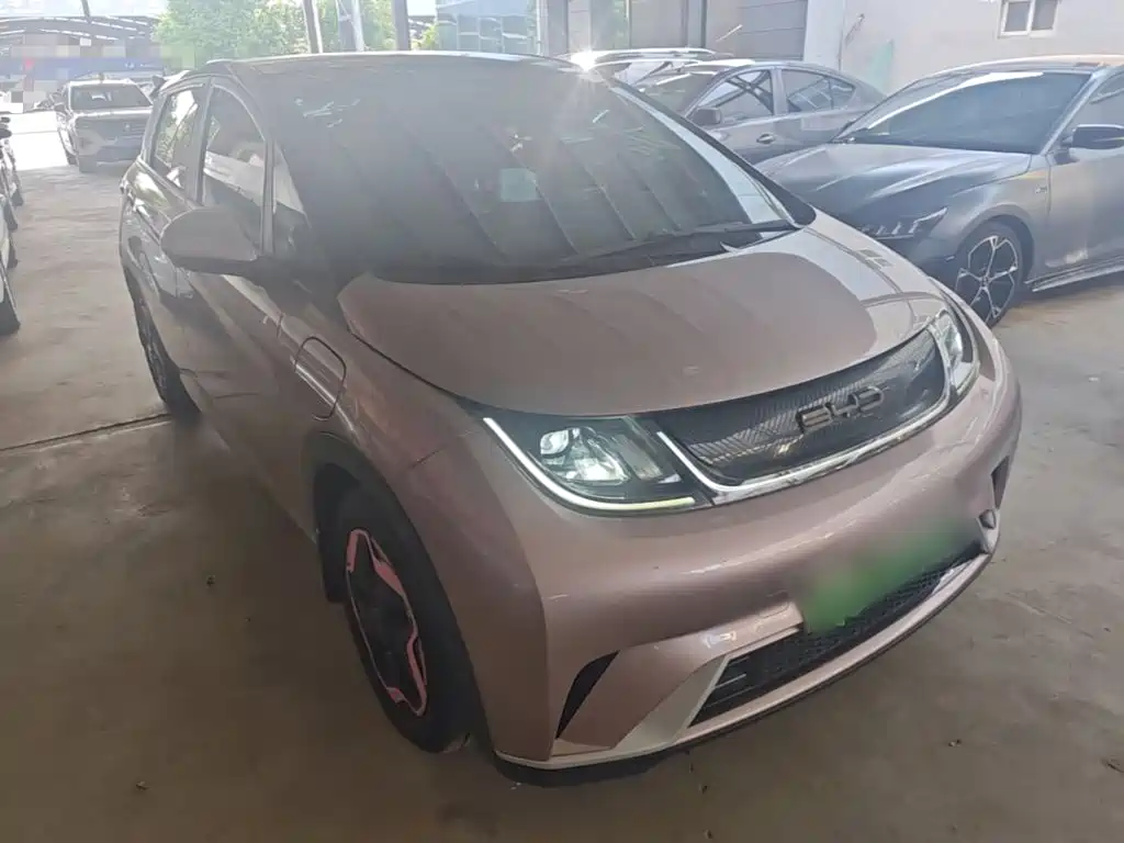 BYD Dolphin 2022