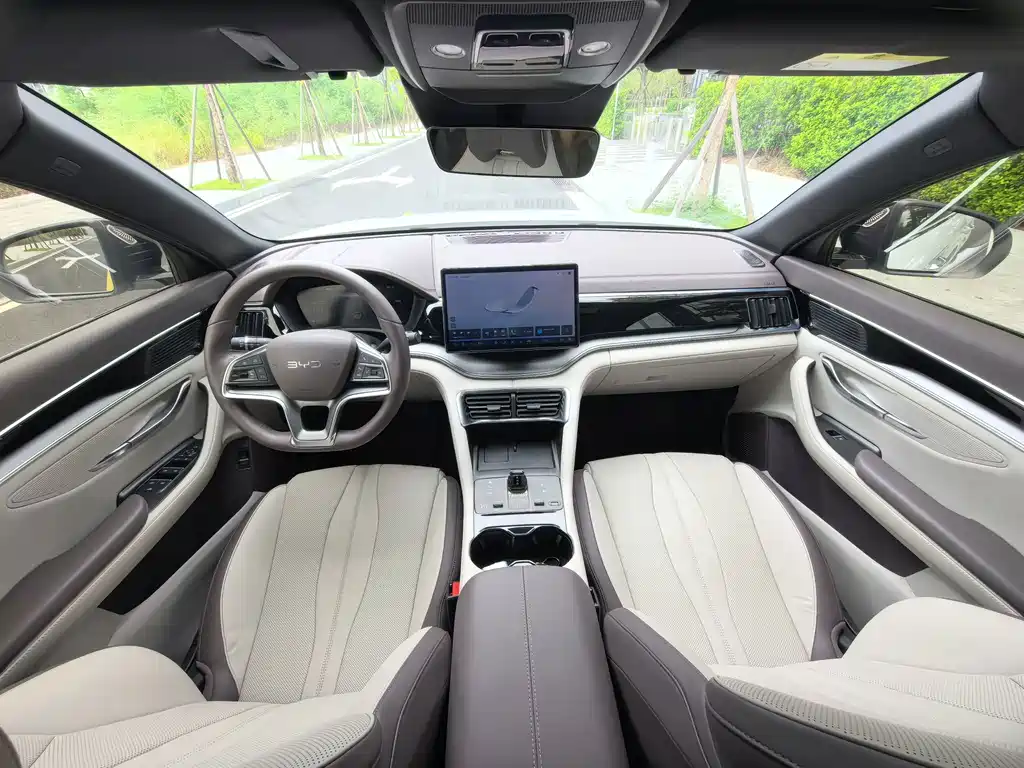 BYD Song PLUS New Energy 2024 — фото 18