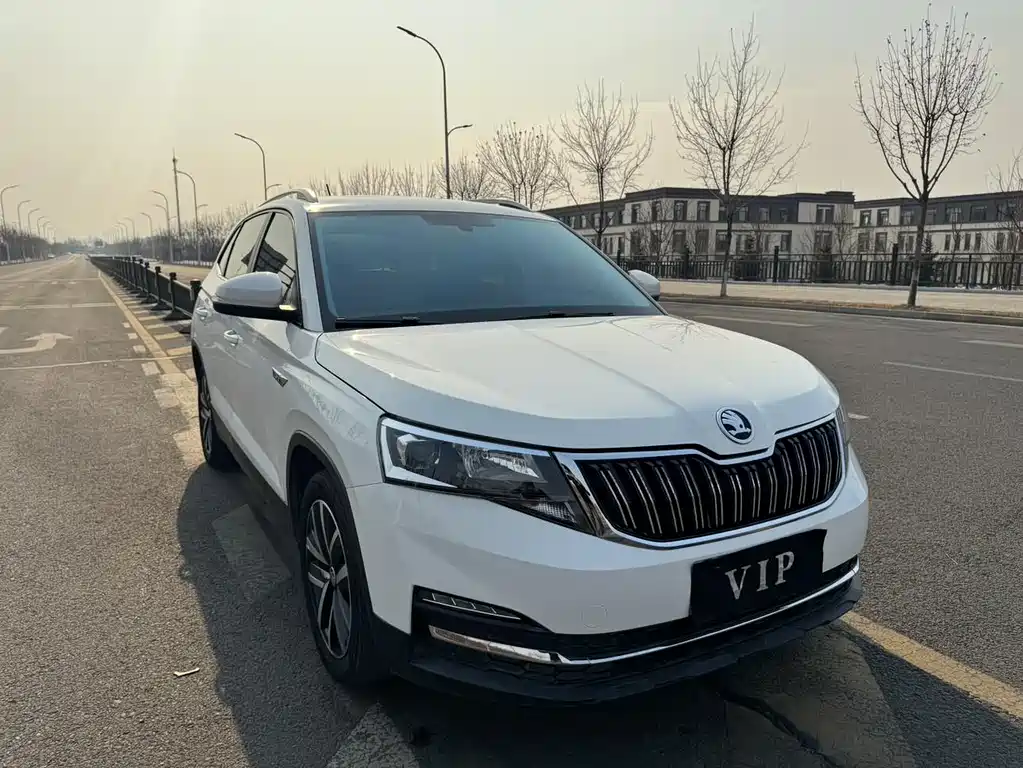Skoda Kamiq 2022 — фото 3