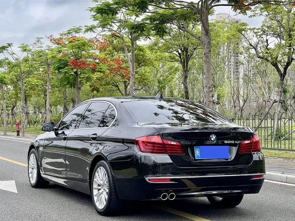 BMW 5 Series 2014
