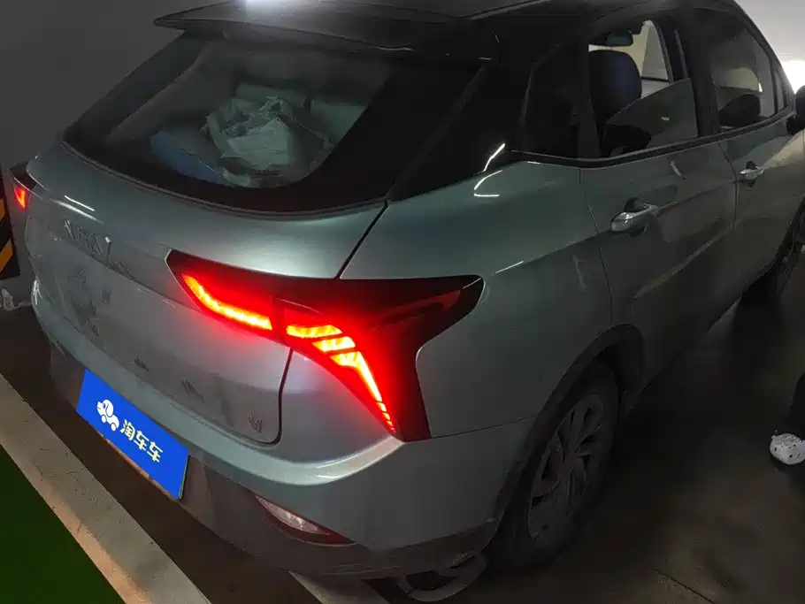 Neta V 2021