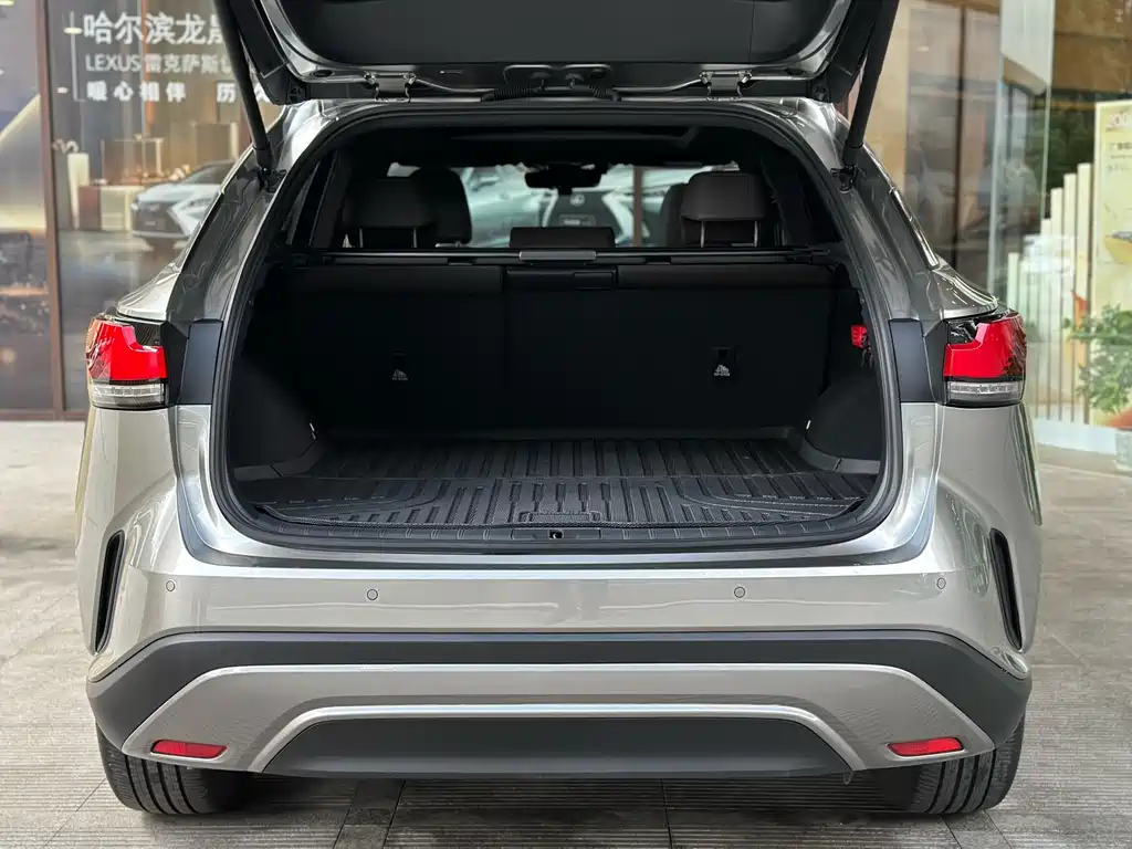 Lexus RX 2024 — фото 10