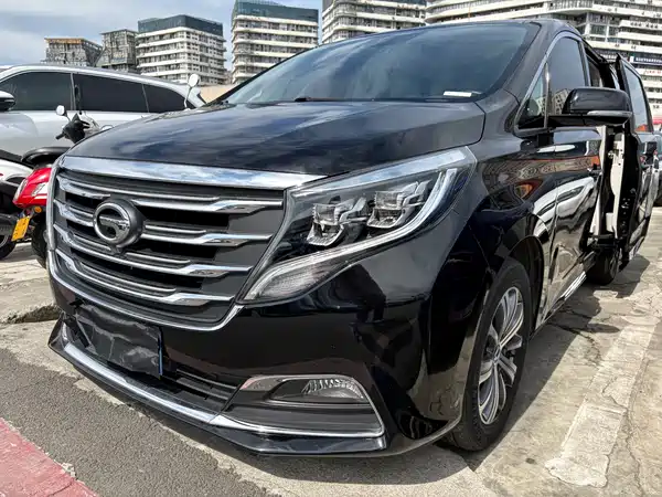 GAC Trumpchi M8 2018