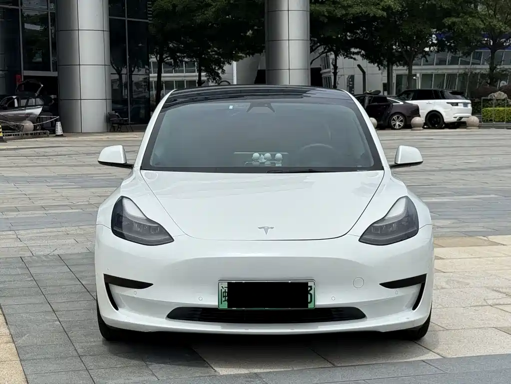 Tesla Model 3 2021 — фото 2
