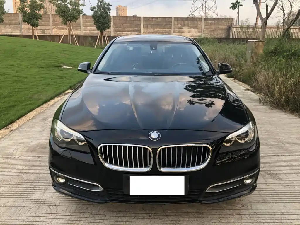 BMW 5 Series 2016
