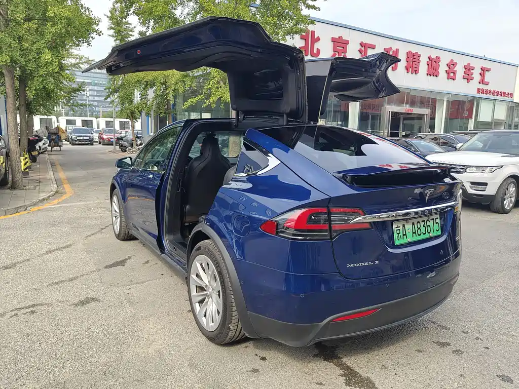 Tesla Model X 2019 — фото 13