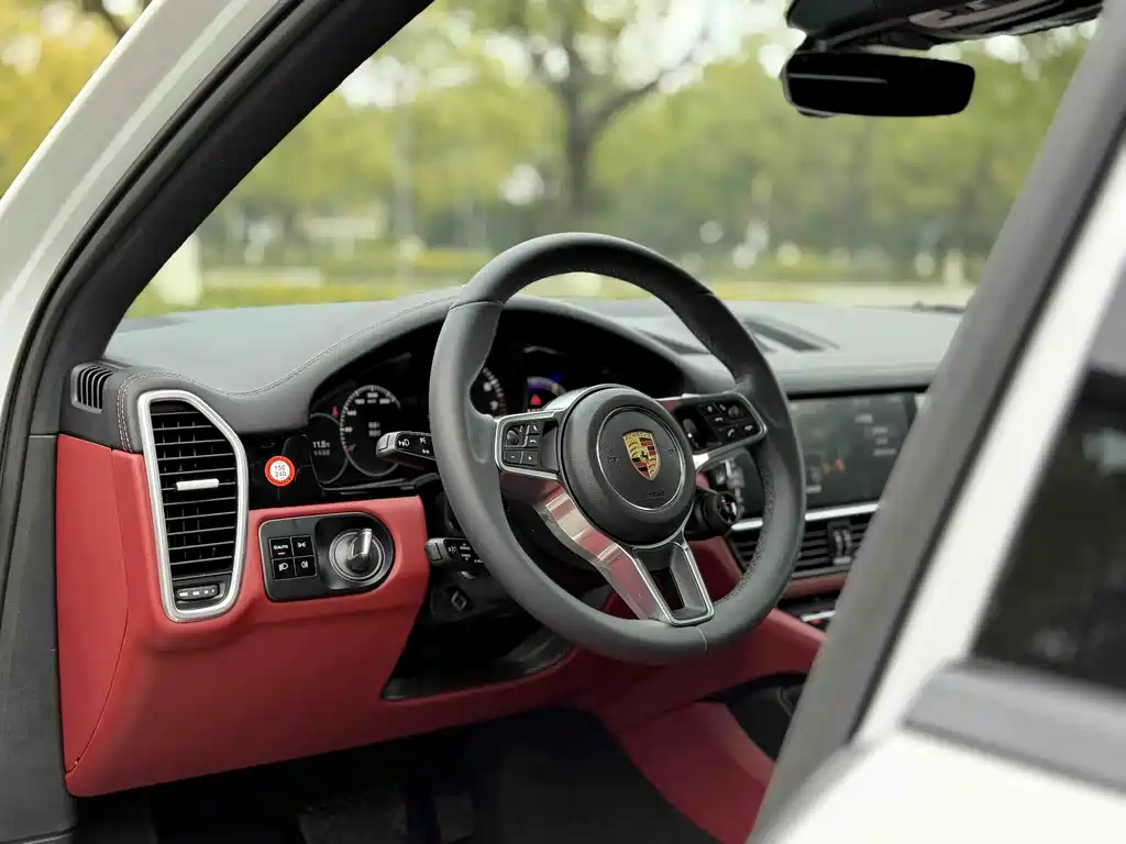 Porsche Cayenne 2020 — фото 13