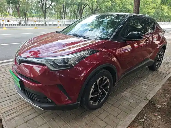 Toyota IZOA 2019