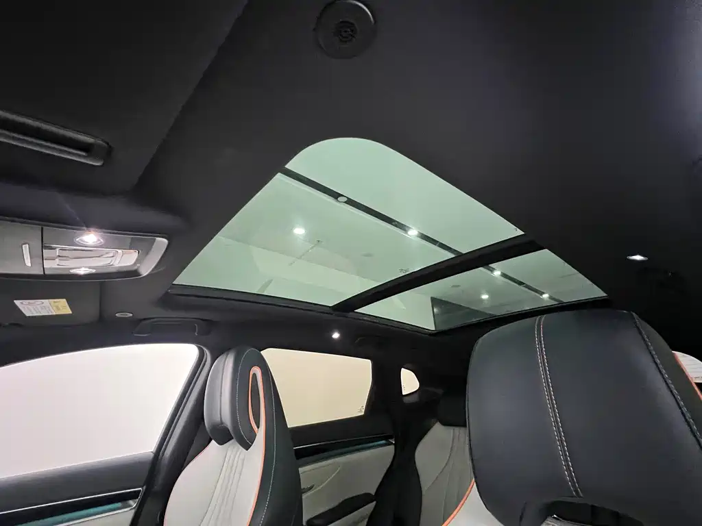 BYD Song PLUS New Energy 2024 — фото 21