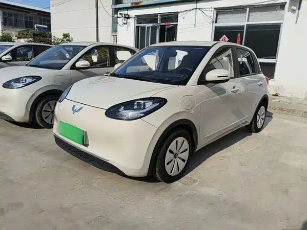 Wuling Bingo 2023