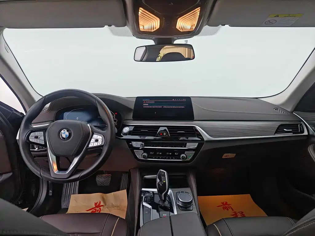 BMW 5 Series New Energy 2020