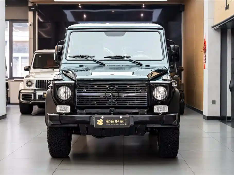 Mercedes-Benz G-Class 2010 — фото 2