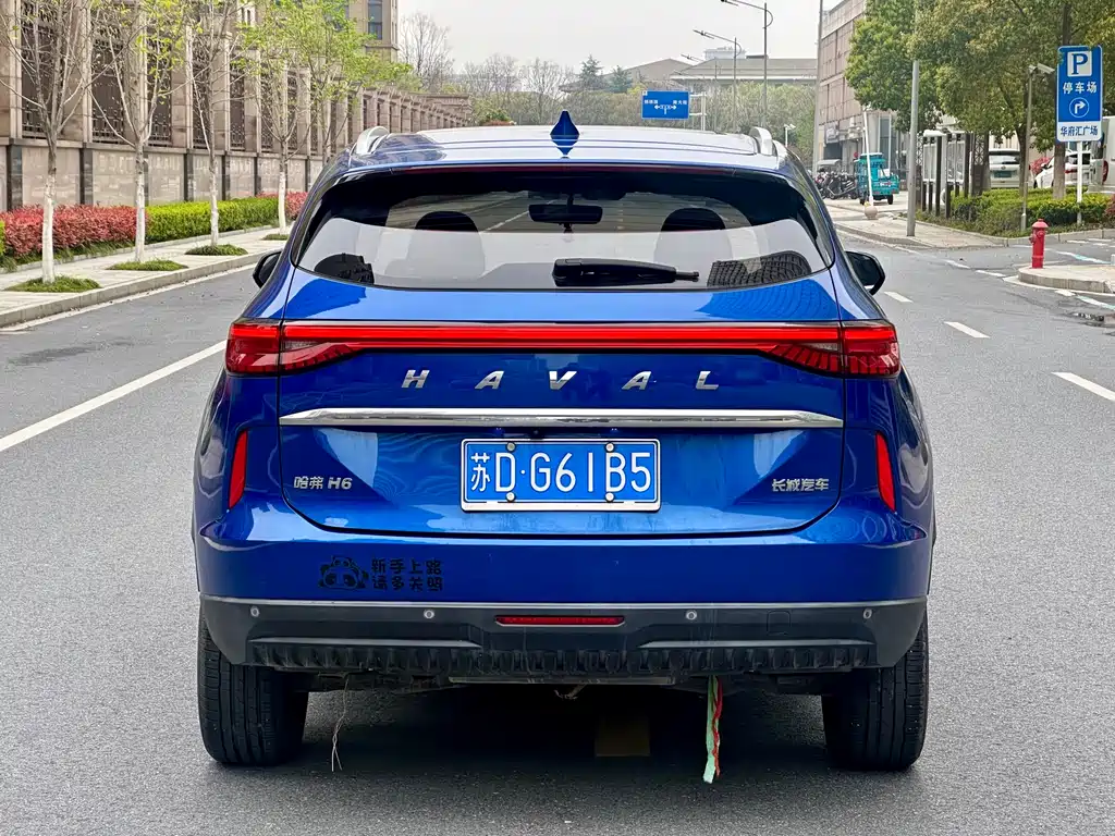 Haval H6 2021 — фото 8