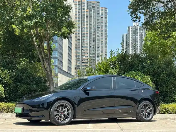 Tesla Model 3 2021
