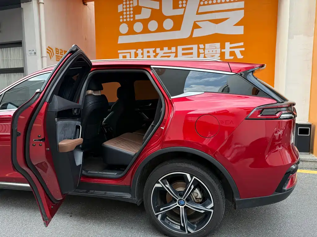 BYD Tang New Energy 2021 — фото 14