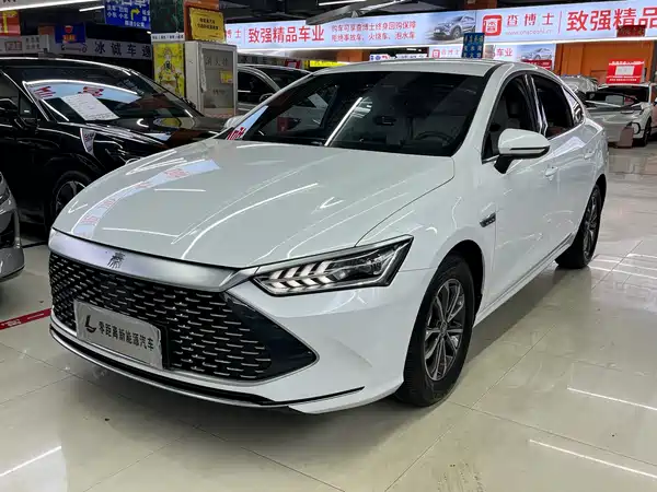 BYD Qin PLUS 2024