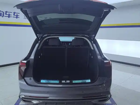 Hongqi E-HS9 2023
