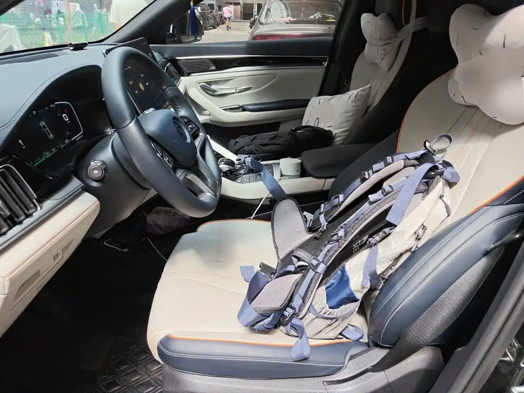 BYD Song PLUS New Energy 2022 — фото 11
