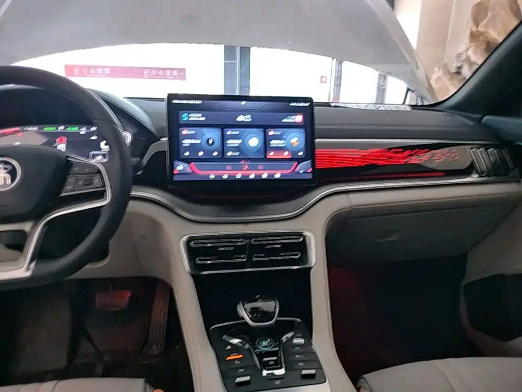 BYD PLUS New Energy 2023 — фото 13